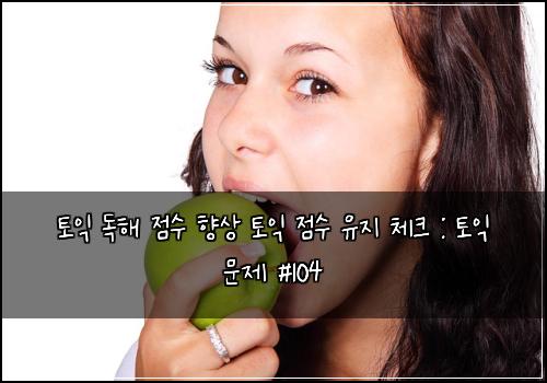 토익 독해 점수 향상 토익 점수 유지 체크 : 토익 문제 #104