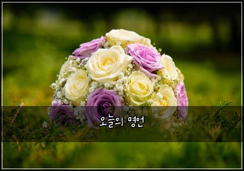 오늘의 명언