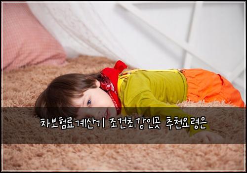 차보험료계산기 조건최강인곳 추천요령은