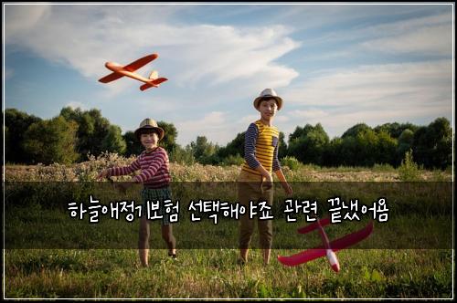 하늘애정기보험 선택해야죠  관련 끝냈어욤