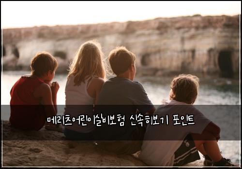 메리츠어린이실비보험 신속히보기  포인트