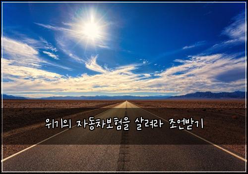 위기의 자동차보험을 살려라 조언받기