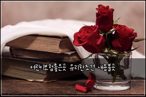 ์ด๋ฆฐ์ด๋ณดํ์ข์๊ณณ ์ ๋ฆฌํ์กฐ๊ฑด ๋ด์ฉ๋ณผ๊ณณ