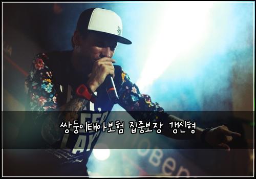 쌍둥이태아보험 집중보장  갱신형
