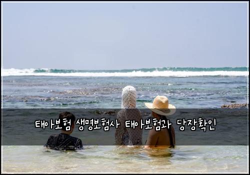 태아보험 생명보험사 태아보험과 당장확인