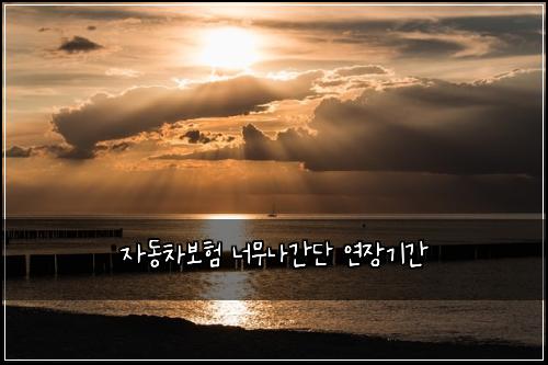 자동차보험 너무나간단  연장기간