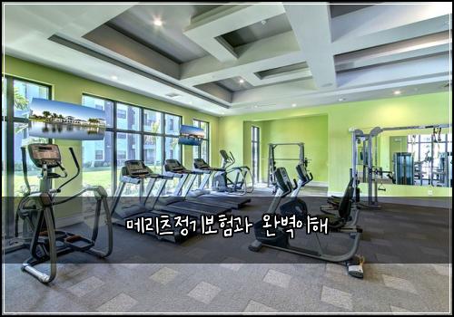 메리츠정기보험과 완벽이해