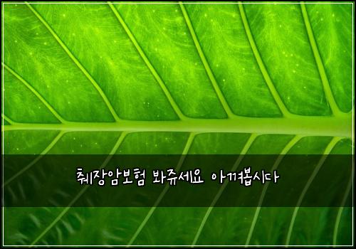 췌장암보험 봐쥬세요  아껴봅시다