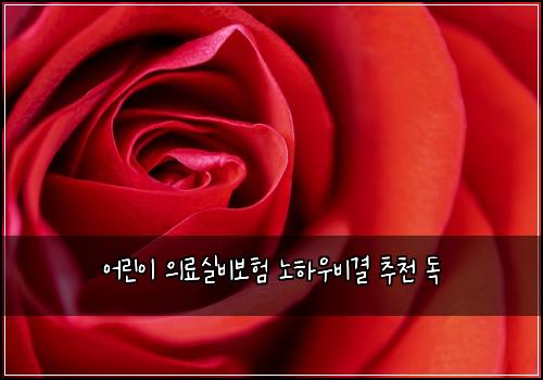 어린이 의료실비보험 노하우비결  추천 독