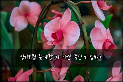 ์ ๊ธฐ๋ณดํ ์ค๊ณํ ๊น ๋น์ผ ์ข
์ ๊ฐ์
ํ์ง