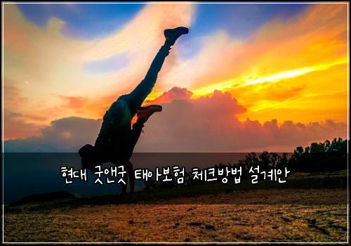 현대 굿앤굿 태아보험 체크방법  설계안