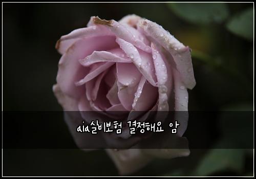 aia실비보험 결정해요  암