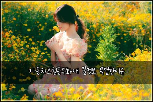 자동차보험동부화재 꿀정보 특별한이유