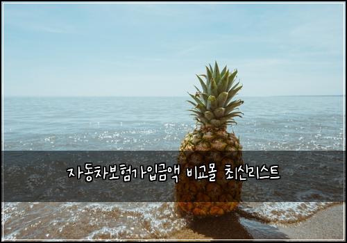 자동차보험가입금액 비교몰 최신리스트