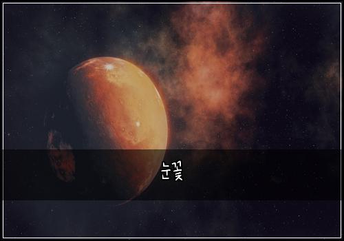 눈꽃