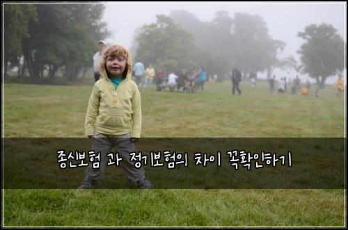 종신보험 과 정기보험의 차이 꼭확인하기