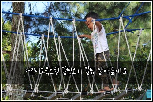 어린이교육보험 꿀팁보기  꿀팁 알아볼까요