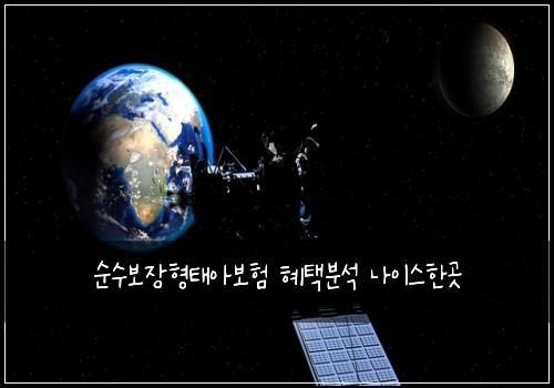 순수보장형태아보험 혜택분석  나이스한곳