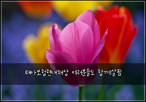 태아보험현대해상 여러분들도 함께살핌