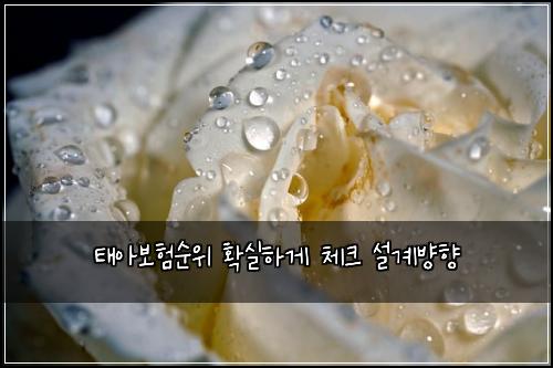 태아보험순위 확실하게 체크 설계뱡향
