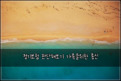 정기보험 판단해보기  가족을위한 종신