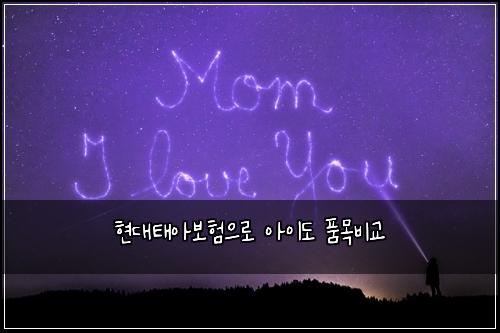 ํ๋ํ์๋ณดํ์ผ๋ก ์์ด๋ ํ๋ชฉ๋น๊ต