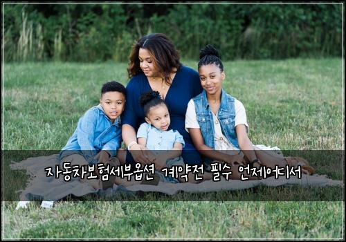 자동차보험세부옵션 계약전 필수 언제어디서