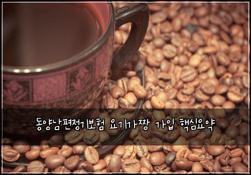 동양남편정기보험 요기가짱  가입 핵심요약