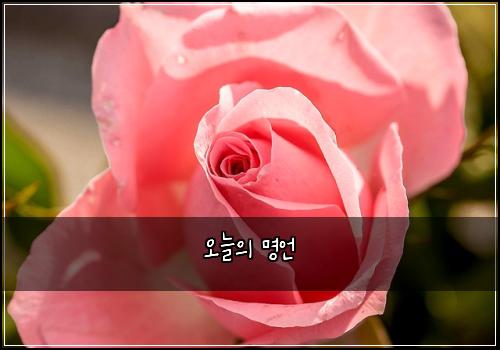 오늘의 명언