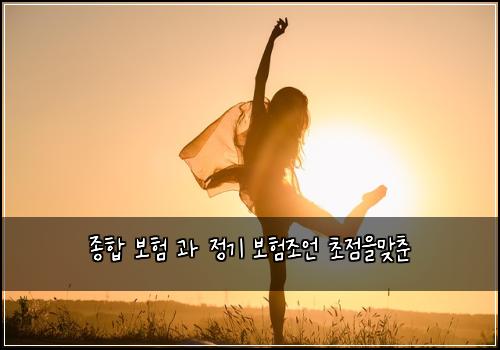 종합 보험 과 정기 보험조언 초점을맞춘