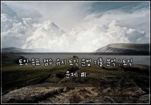 토익 목표 점수 유지 토익 문법 기출 분석 : 토익 문제 #1