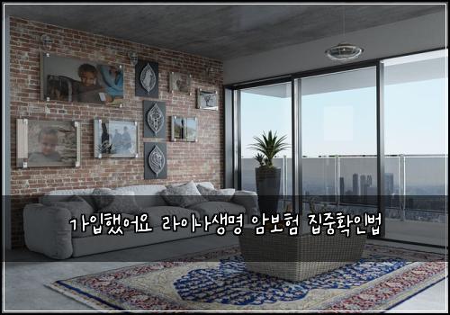 가입했어요 라이나생명 암보험 집중확인법 