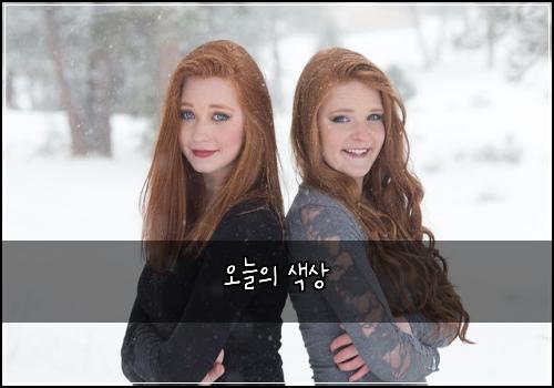 오늘의 색상