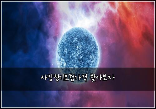 사망정기보험가격 찾아보자