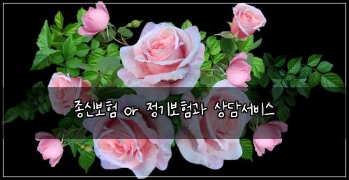 ์ข
์ ๋ณดํ or ์ ๊ธฐ๋ณดํ๊ณผ ์๋ด์๋น์ค