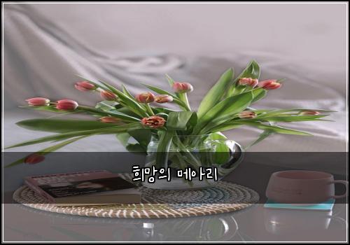희망의 메아리