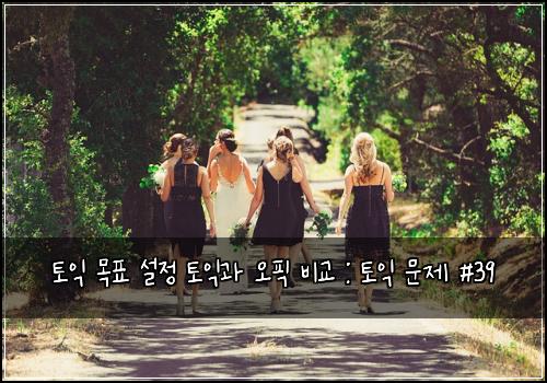 토익 목표 설정 토익과 오픽 비교 : 토익 문제 #39
