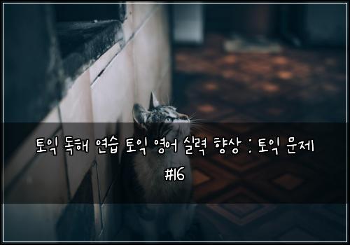 토익 독해 연습 토익 영어 실력 향상 : 토익 문제 #16