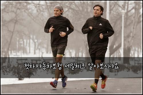 첫차자동차보험 세밀체크  알아보시나요