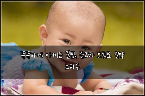  똑똑하게 아끼는 꿀팁, 중고차 보험료 절약 노하우