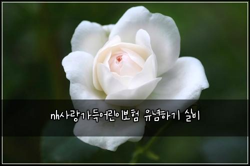 nh์ฌ๋๊ฐ๋์ด๋ฆฐ์ด๋ณดํ ์ ๋
ํ๊ธฐ ์ค๋น