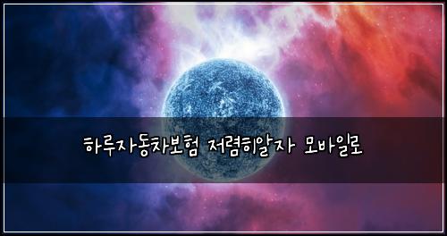 ํ๋ฃจ์๋์ฐจ๋ณดํ ์ ๋ ดํ์์ ๋ชจ๋ฐ์ผ๋ก