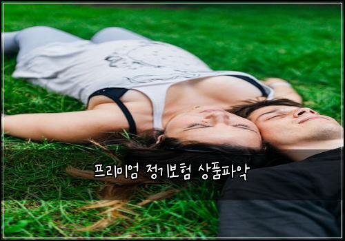 프리미엄 정기보험 상품파악 