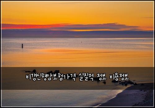비갱신형암보험가격 실질적 정보 비용정보
