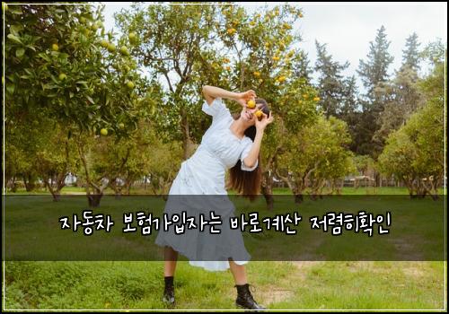 자동차 보험가입자는 바로계산 저렴히확인
