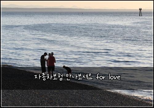 자종차보험 만나보셔요  for love