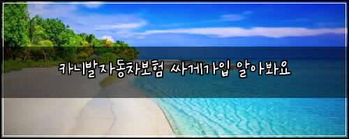 카니발자동차보험 싸게가입  알아봐요