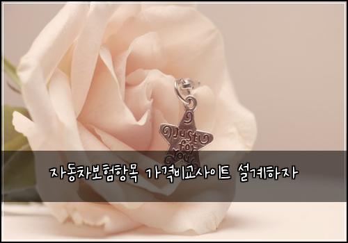자동차보험항목 가격비교사이트 설계하자
