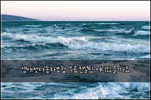 생애첫자동차보험 무료컨설팅  어디있을까요