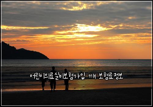 어린이의료실비보험가입 깨 보험료정보